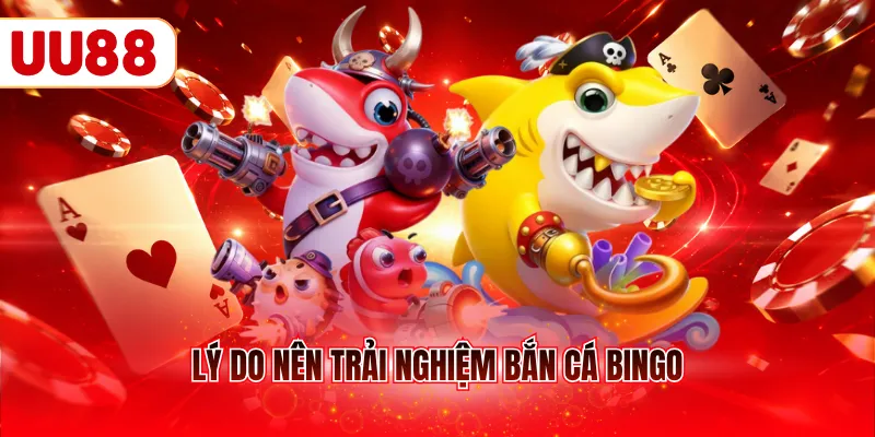 Lý do nên trải nghiệm bắn cá Bingo